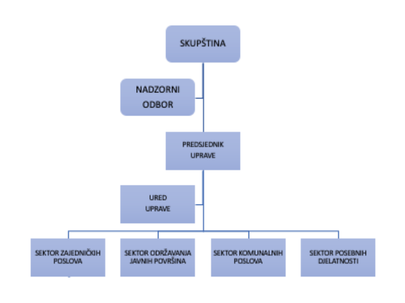Organizacijska struktura